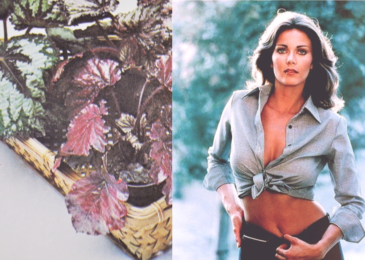 Lynda Carter collage from Dancers Road